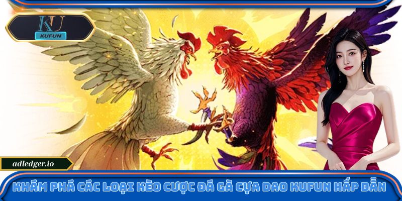 Khám phá các loại kèo cược đá gà cựa dao Kufun hấp dẫn