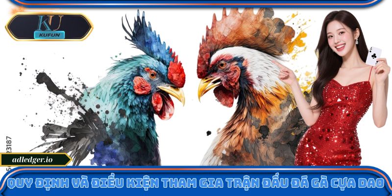 Quy định và điều kiện tham gia trận đấu đá gà cựa dao