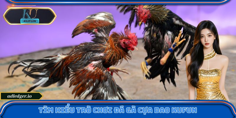 Tìm hiểu trò chơi Đá gà cựa dao Kufun